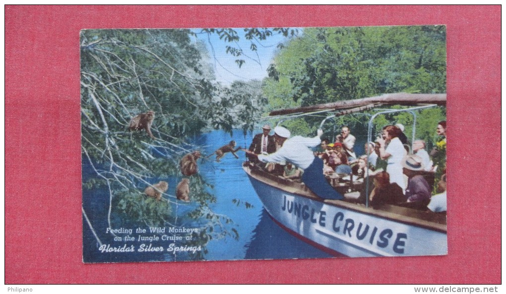 Jungle Cruise Boat  Feeding Wild Monkeys Has Crease Florida> Silver Springs-  -   ----- -ref --2051 - Silver Springs