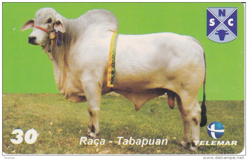 TARJETA DE BRASIL DE UNA VACA (COW-VACA) (2-10) - Cows