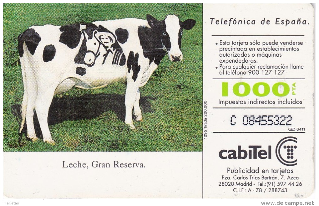 TARJETA DE ESPAÑA DE UNA VACA (COW-VACA) - Vacas