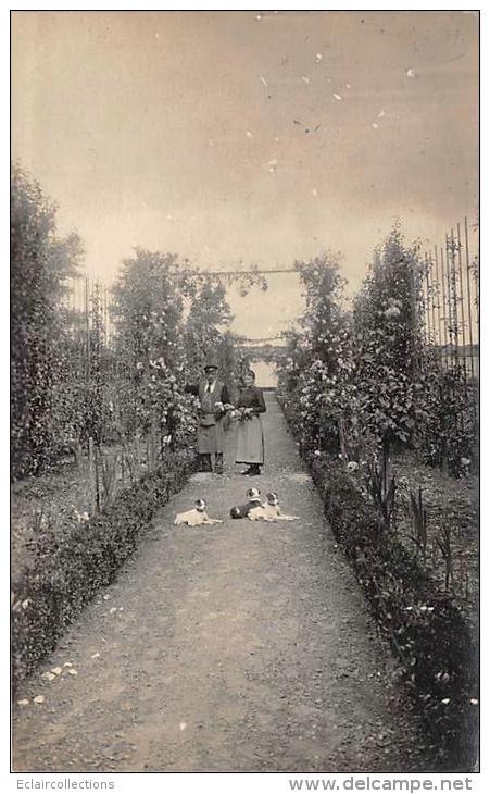 Villers -Hélon     02     L' Allée D'une Propriété  En 1923  (carte Photo) - Altri & Non Classificati