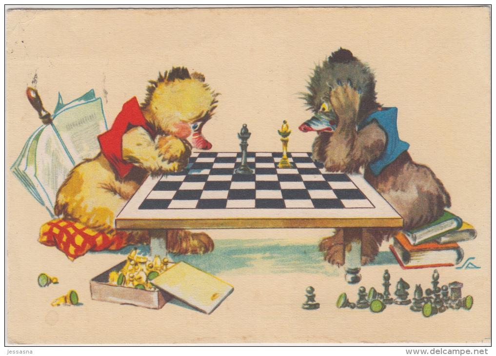AK - Bären Beim Schach - 1961 - Schach