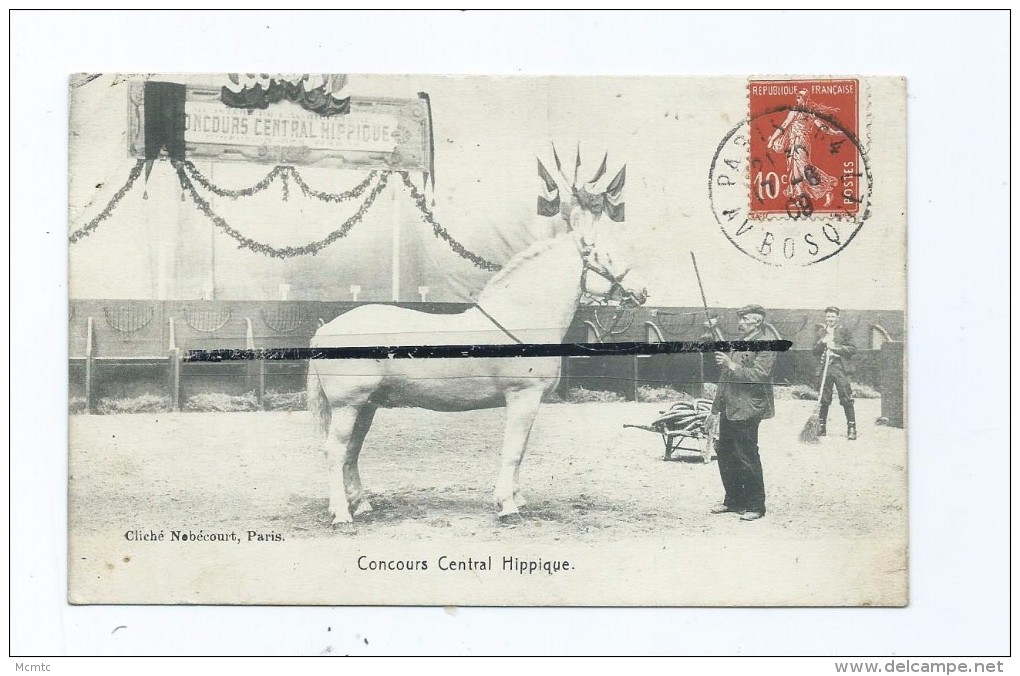 CPA  - Concours Central Hippique  - Cheval - Horse Show