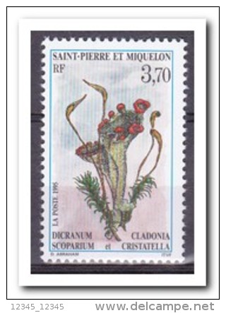 Saint-Pierre Et Miquelon 1995, Postfris MNH, Plants - Nuovi