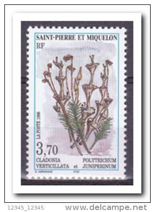 Saint-Pierre Et Miquelon 1996, Postfris MNH, Plants - Ongebruikt