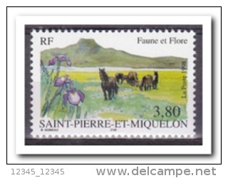 Saint-Pierre Et Miquelon 1998, Postfris MNH, Flowers, Horses - Ongebruikt