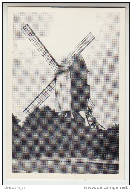 Oostvleteren, De Meesters Molen (pk25831) - Vleteren