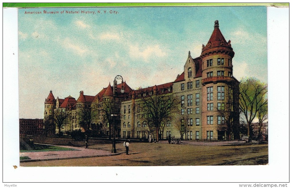 CPA-NEW YORK CITY-AMERICAN MUSEUM OF NATURAL HISTORY- - Museos