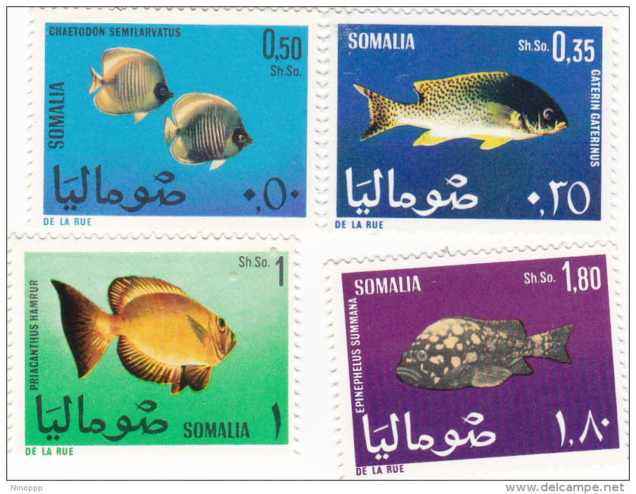 Somalia Fishes 76-79 MNH - Fishes