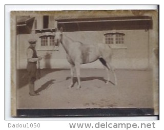 Photo Jument   Yakoba Courses 1934 - Sonstige & Ohne Zuordnung