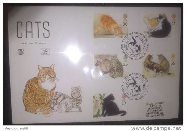 GB 1995 CATS FDC SG 1848-52 MI 1544-48 SC 1586-90 IV 1789-1793 - Brieven En Documenten