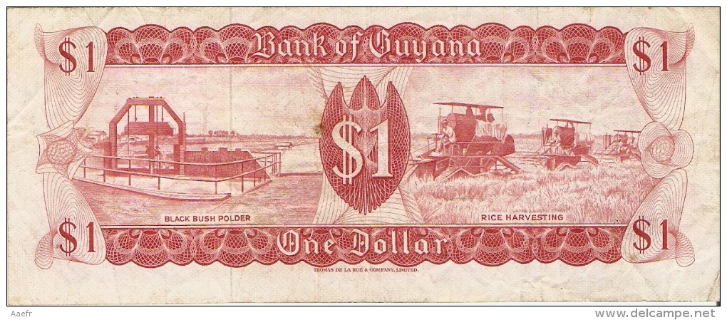 Billet - GUYANA - 1 Dollar - 1966 1992 - Sign 4 - Série A41 - Black Bush Polder - Rice Harvesting - Kaieteur Falls - Guyana