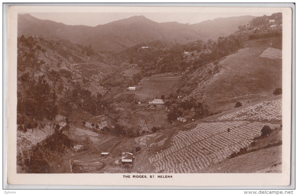 Île Sainte-Hélène - Saint Helena Island - The Ridges - Sainte-Hélène