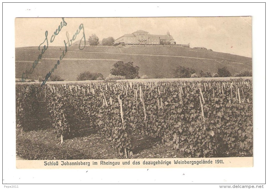 CPA ALLEMAGNE RHEINGAU  Schloss Johannisberg Im Rheingau & Das Dazugehörige Weinbergsgelände 111 Vignes & Domaine - Zu Identifizieren