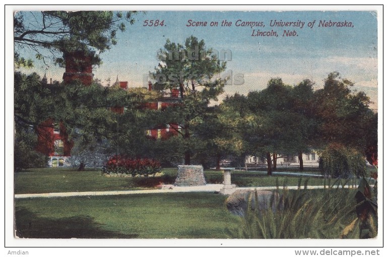 Lincoln NE, University Of Nebraska Campus Detail Scene 1910s Vintage Postcard [8674] - Lincoln