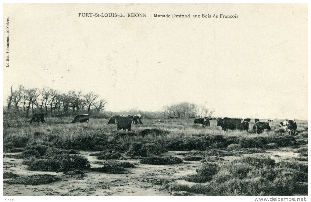 PORT SAINT LOUIS DU RHONE(BOUCHES DU RHONE) - Sonstige & Ohne Zuordnung