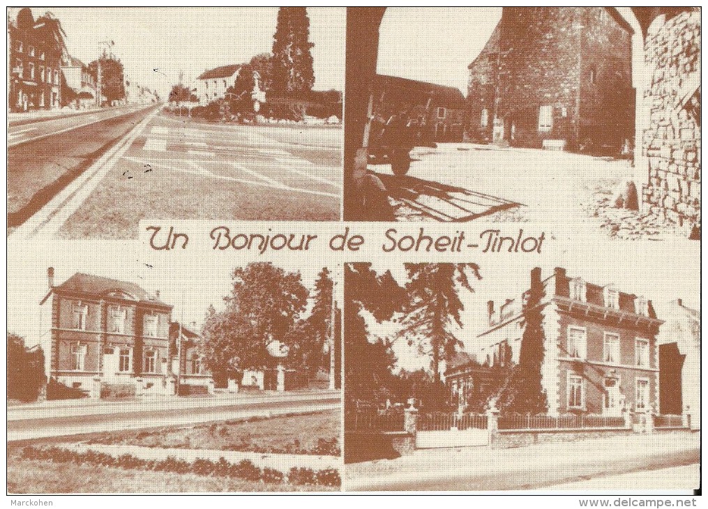 SOHEIT-TINLOT (4557) : Un Bonjour De Soheit-Tinlot. CPSM Multivues (4 Vues). - Tinlot