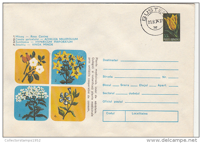 31255- ROSE HIP, YARROW, ST JOHN'S WORT, LESSER PERIWINKLE, MEDICINAL PLANTS, COVER STATIONERY, 1974, ROMANIA - Plantas Medicinales