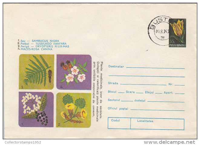 31256- ELDER, WINTER HELIOTROPE, MALE FERN, ROSE HIP, MEDICINAL PLANTS, COVER STATIONERY, 1974, ROMANIA - Geneeskrachtige Planten
