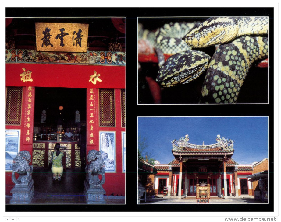 (981) Malaysia - Penang Snake Temple (with Youth Football World Cup Stamp At Back Of Postcard) - Bouddhisme