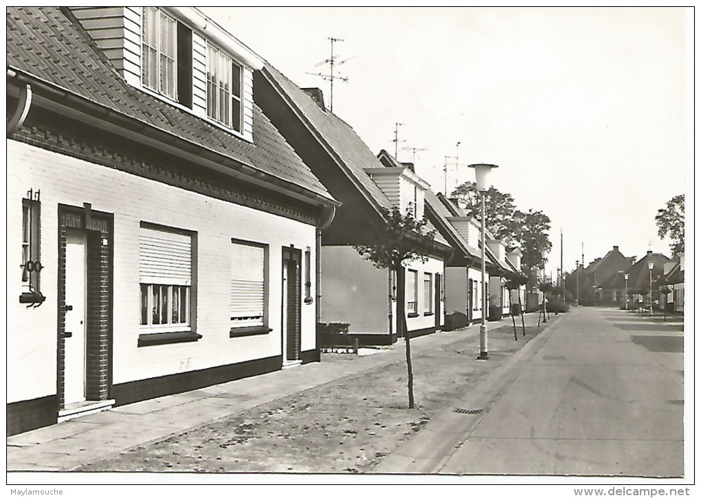 Rijkevorsel  Lonenhofstraat - Rijkevorsel