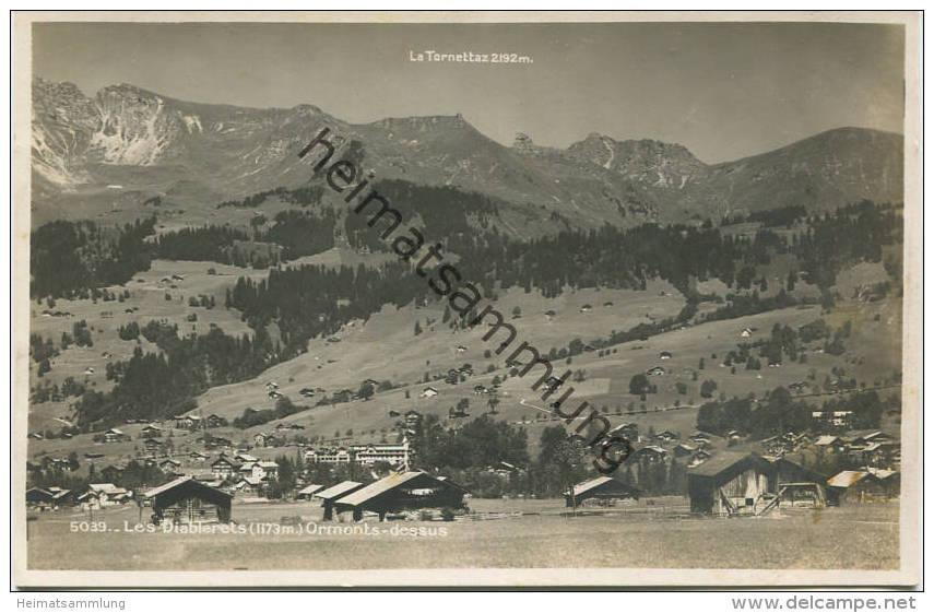 Les Diablerets - Ormonts-dessus - Foto-AK 20er Jahre - Edition Societe Graphique Neuchatel - Rückseite Beschrieben 1929 - Ormont-Dessus 