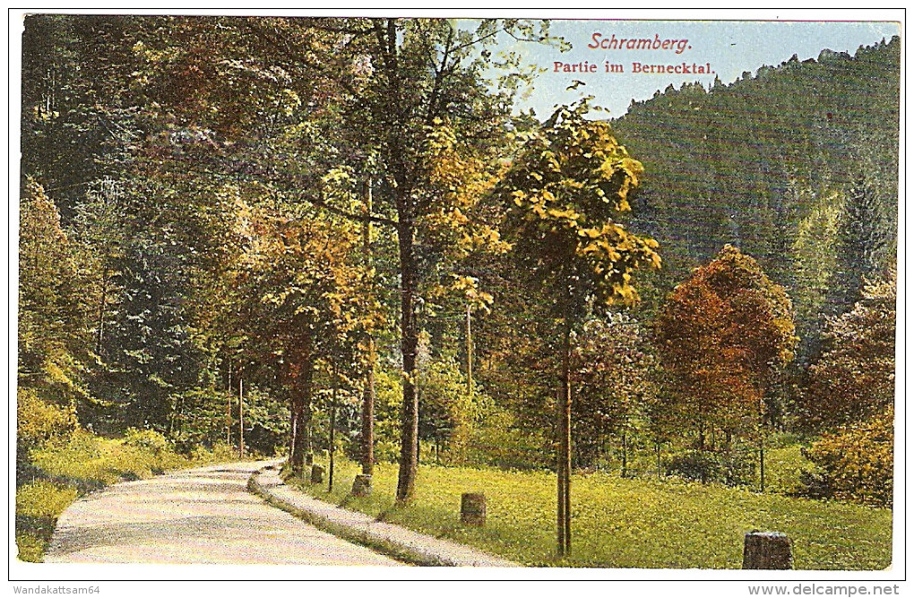 AK 27 SCHRAMBERG Partie Im Bernecktal Original-Eigentum Franz Marzari - Schramberg