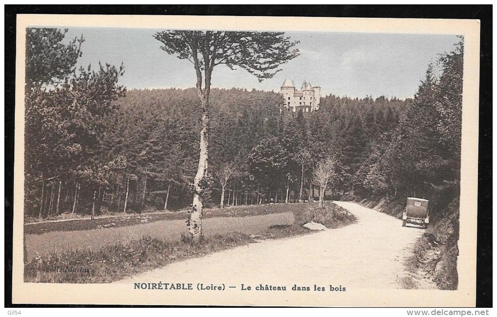 Noiretable ( Loire ) - Le Chateau Dans Les Bois   - Hai96 - Noiretable