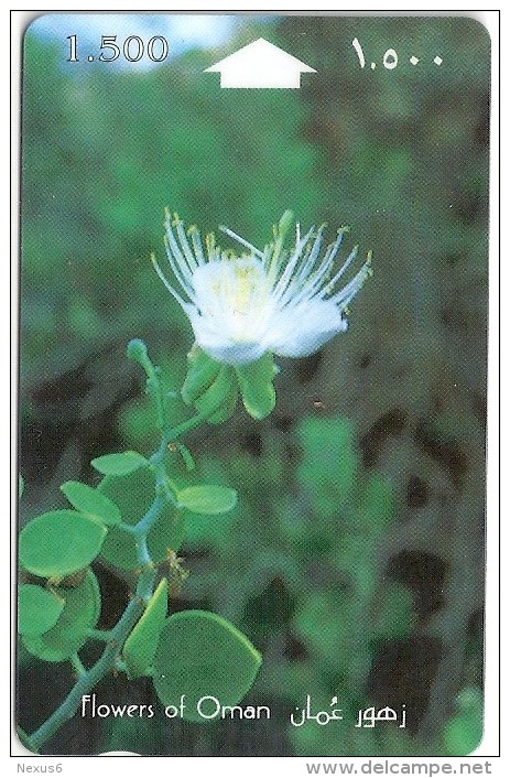 Oman - Capparis Spinosa, Flowers, 29OMNF, 1995, 250.000ex, Used - Oman