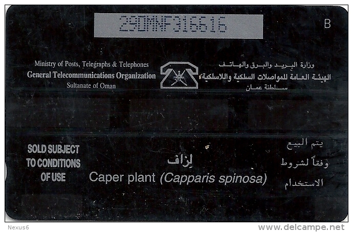 Oman - Capparis Spinosa, Flowers, 29OMNF, 1995, 250.000ex, Used - Oman