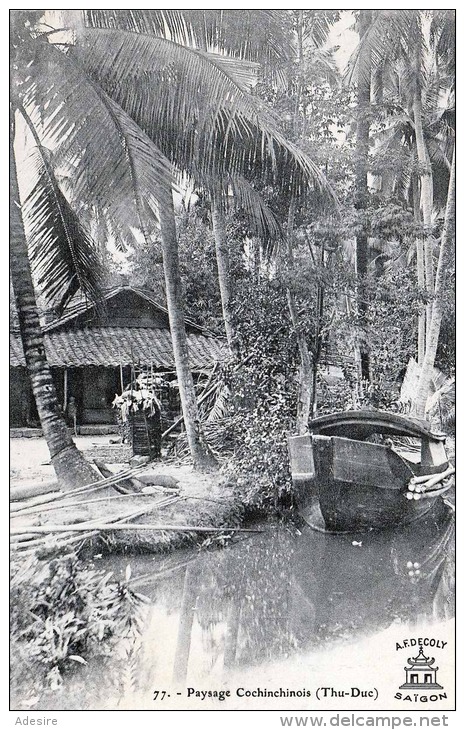 SAIGON - PAYSAGE COCHINCHINOIS (Thu-Duc) - Vietnam