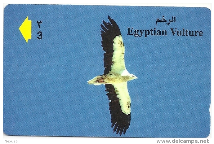 Oman - Egyptian Vulture, 41OMNJ, 1999, 300.000ex, Used - Oman