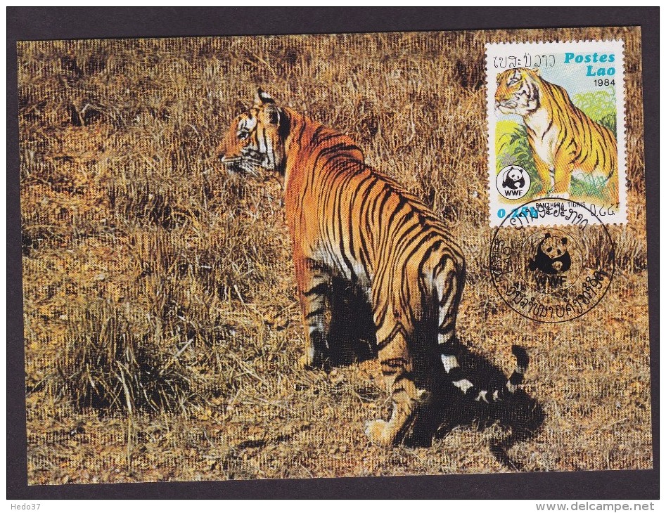 Tigre - Laos - Maximumkarten