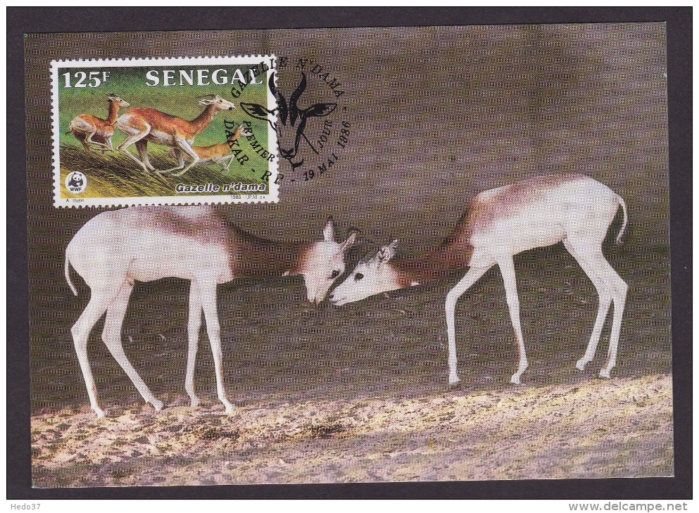 Gazelle - Senegal - Cartes-maximum