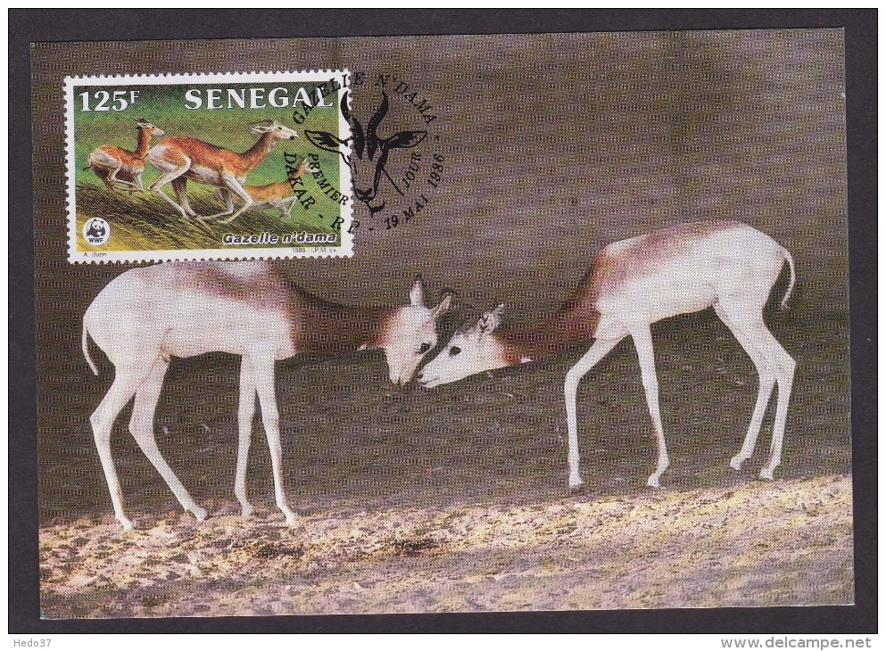 Gazelle - Senegal - Maximumkarten