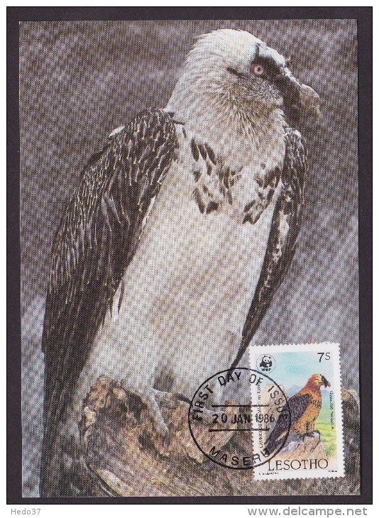 Oiseau - Lesotho - Cartes-maximum