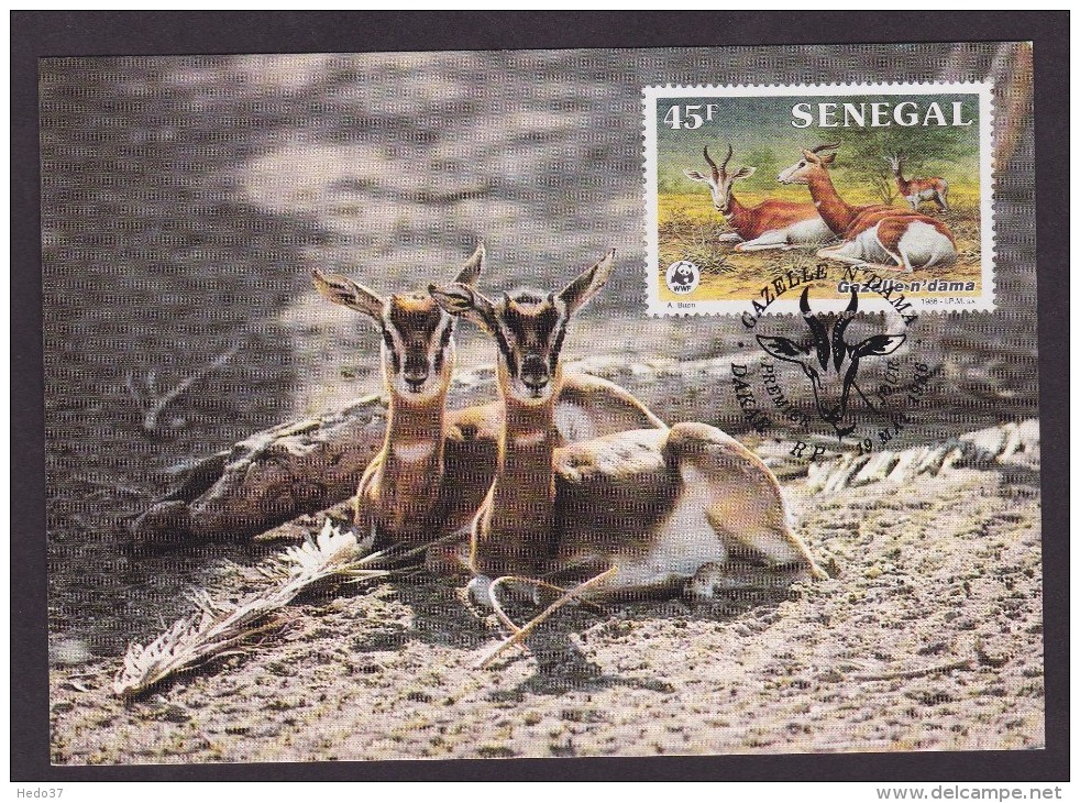 Gazelle - Senegal - Maximumkarten