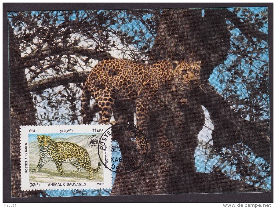 Leopard - Kaboul - Cartes-maximum