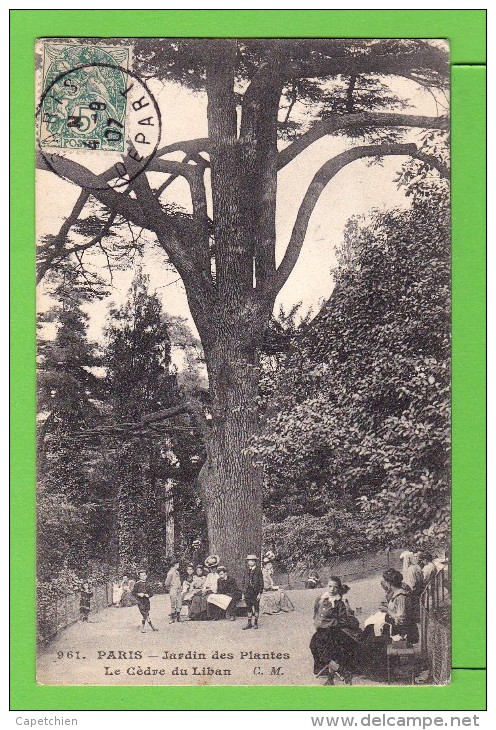 PARIS / LE GRAND CEDRE DU LIBAN AU JARDIN DES PLANTES  / Carte Centenaire écrite En 1907 - Trees
