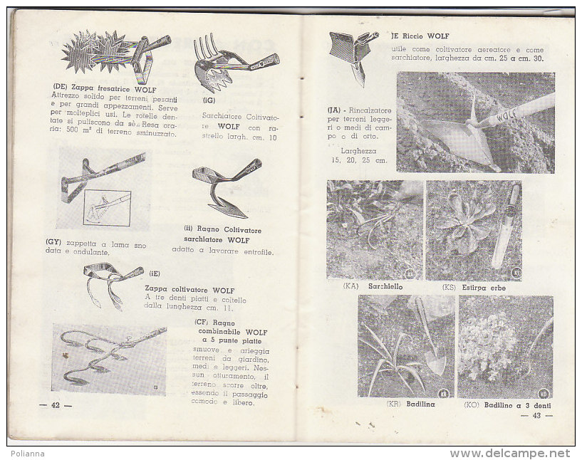 PO3305D# LISTINO ILLUSTRATO SEMENTI ARBARELLO TORINO 1961/ATTREZZI GIARDINAGGIO/CALENDARIO SEMINE - Giardinaggio