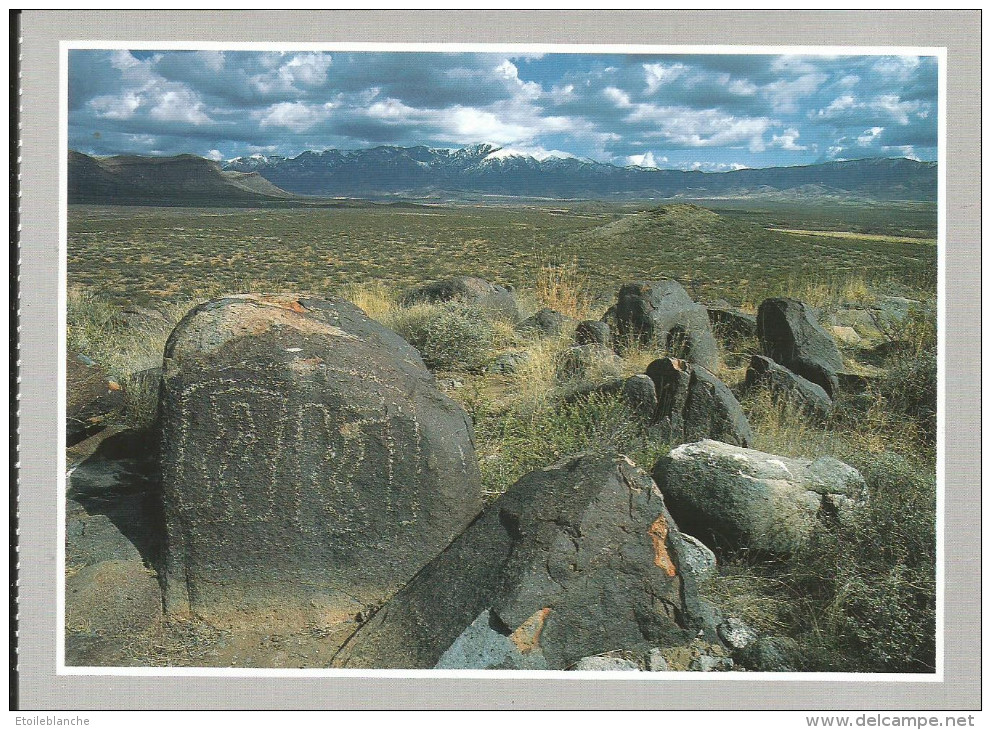 Petroglyph Site - 20,000 Glyphes Jornado Mogollon Culture - New Mexico Carrizozo (rochers, Ameridiens) - Autres & Non Classés