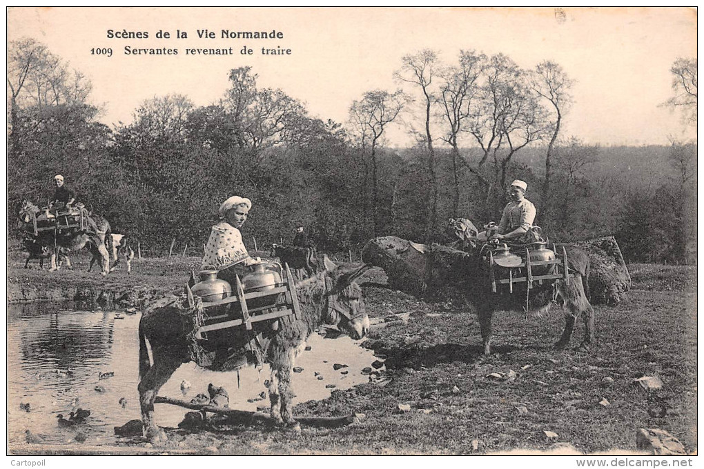 14 - 27 - 50 - 61 - 76 - Normandie - Scène De Vie Normande - Servantes Revenant De Traire - Caen