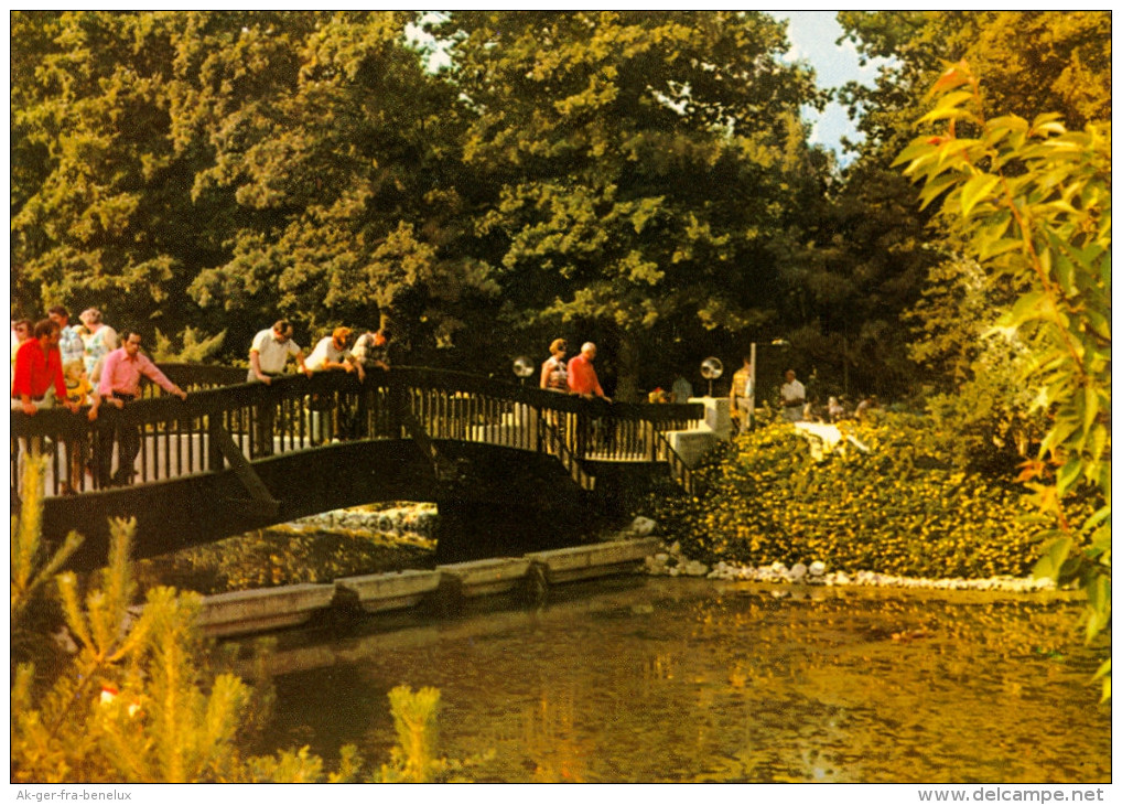 AK Bad Füssing Thermalbad Kurparkanlage Niederbayern Deutschland Foto Mührer GERMANY Deutschland Kurpark Ansichtskarte - Bad Fuessing