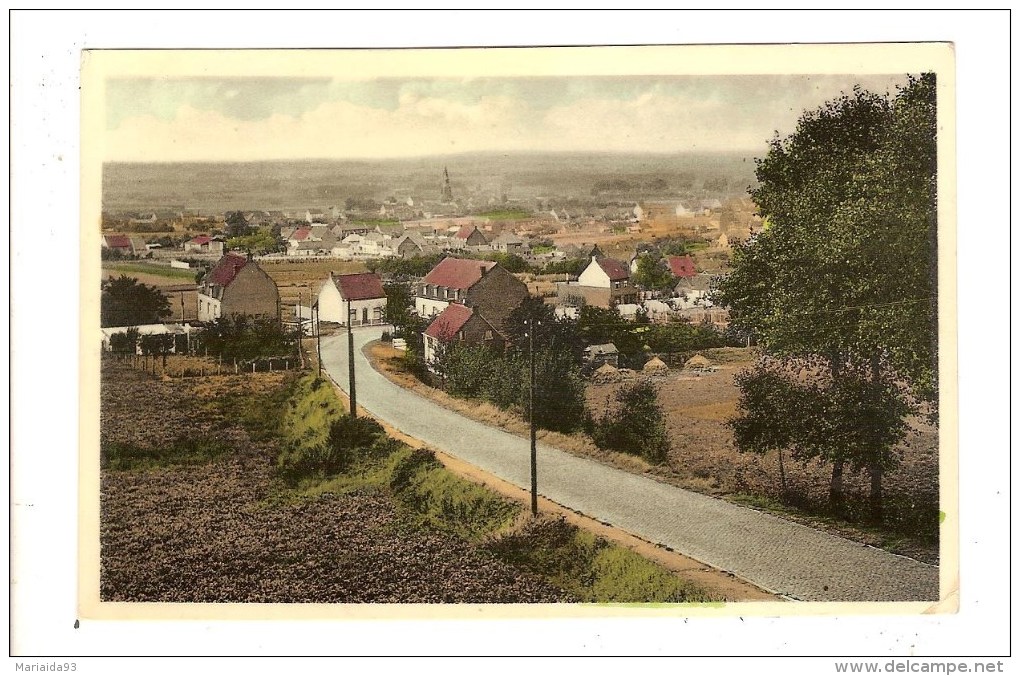 RUIEN - BELGIQUE - PANORAMA VU DU MONT DE L'ENCLUS - Kluisbergen