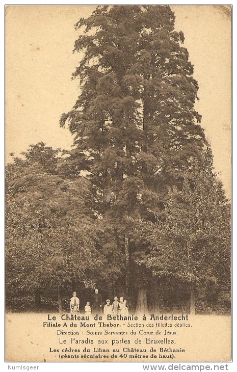 Le Château De Bethanie à Anderlecht - Filiale A Du Mont  Thabor  -  Section Des Fillettes Débiles - Anderlecht