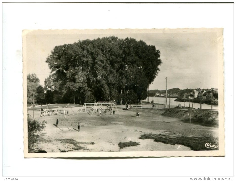 CP - SAINT AIGNAN (41) LA PLAGE VUE D ENSEMBLE  (BASKET) - Saint Aignan