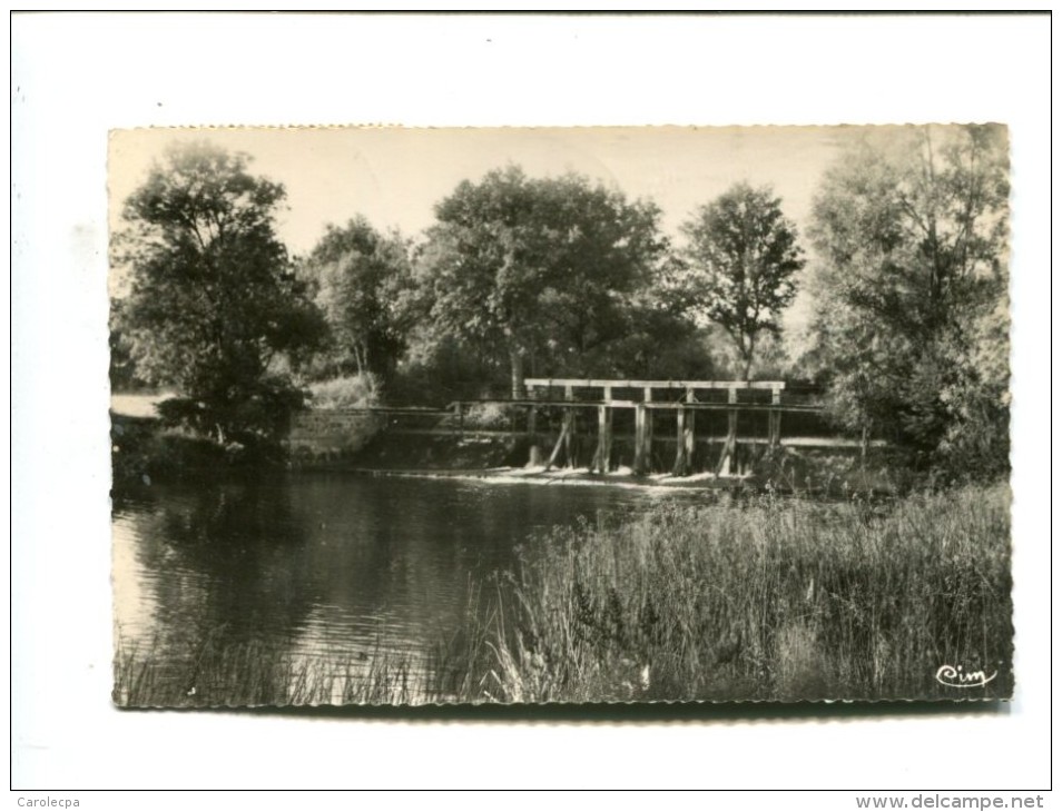 CP - Selles Saint Denis (41) BARRAGE SUR LA SAULDRE - Autres & Non Classés