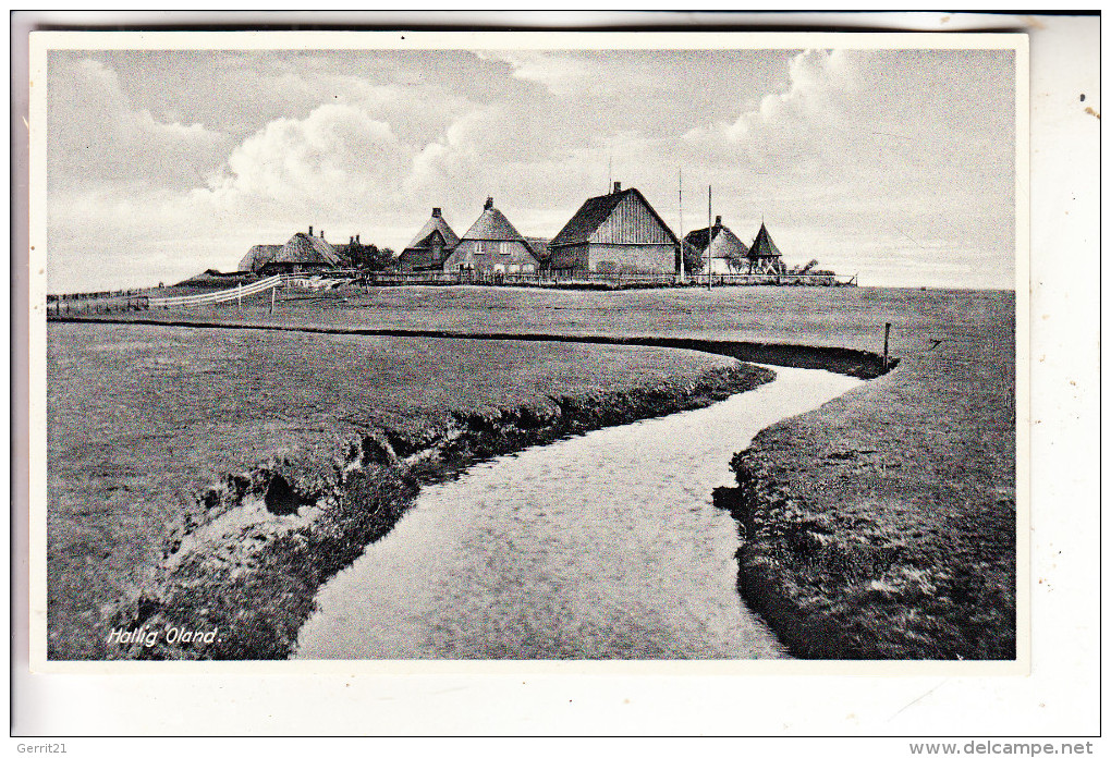 2251 HALLIG OLAND, Gesamtansicht - Halligen