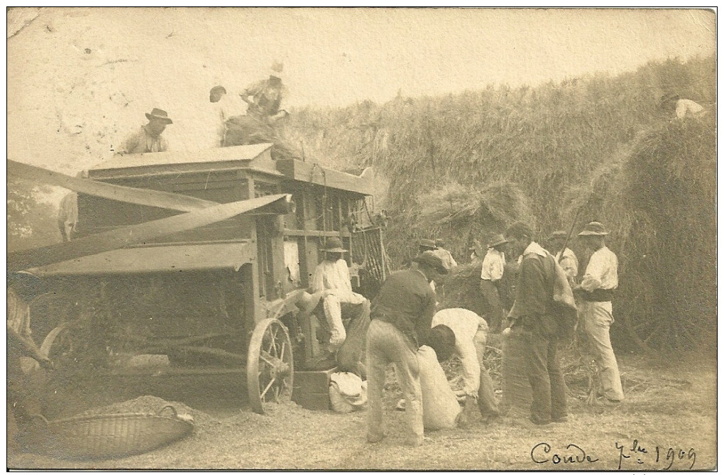 Carte- Photo  - CONDE  ?  ( Ardennes)  - Moissonneuse- Batteuse - Autres & Non Classés