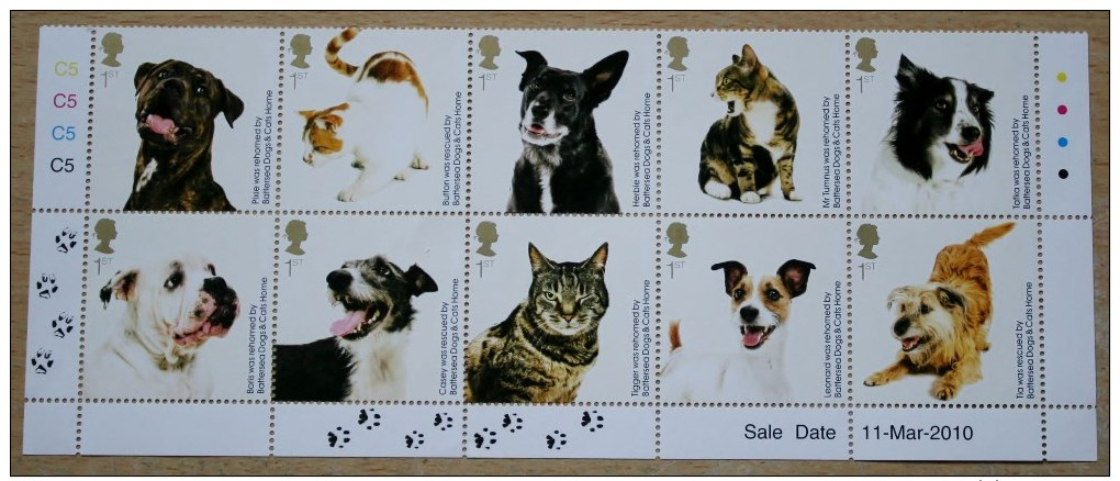 DOGS AND CATS 2010 - Nuevos