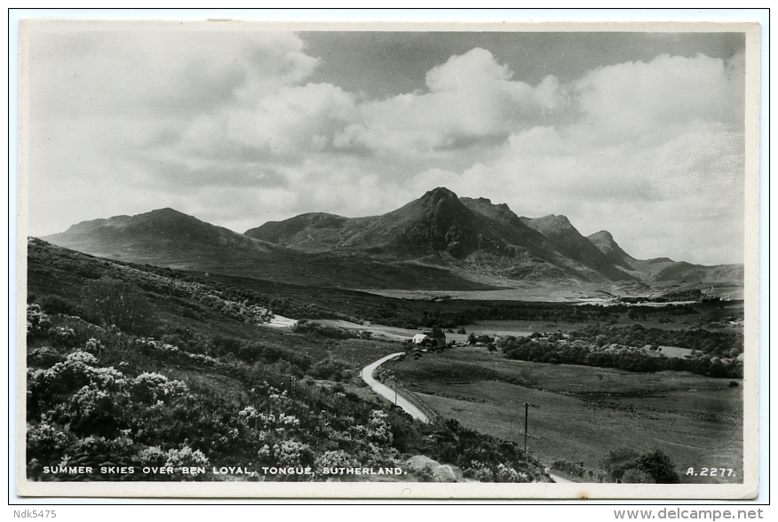 SUTHERLAND : TONGUE - SUMMER SKIES OVER BEN LOYAL - Sutherland